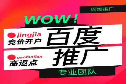 某电商平台的SEM广告投放全流程解析